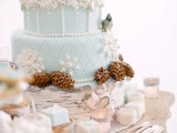 a refined ice blue winter wedding cake with white patterns and pinecones, pearls and beads is a lovely and beautiful dessert