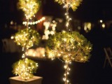 lit up mini trees in planters look very chic and very stylish and add interest to the space