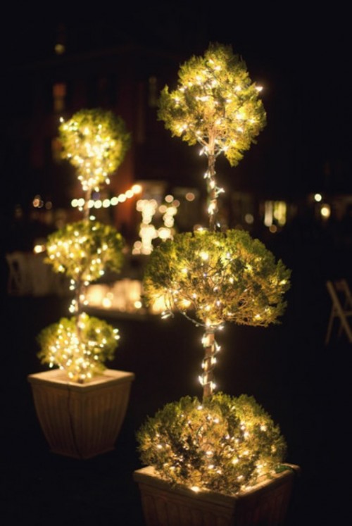 lit up mini trees in planters look very chic and very stylish and add interest to the space
