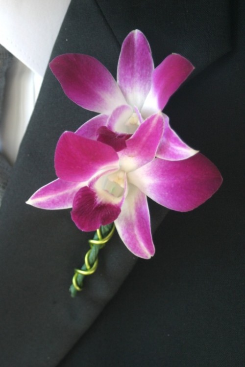 a radiant orchid wedding boutonniere will be a nice solution for a tropical or some bright wedding