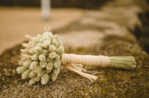 a small and pretty rustic wedding bouquet of bunny tails is a lovely idea for an Icelandic bride