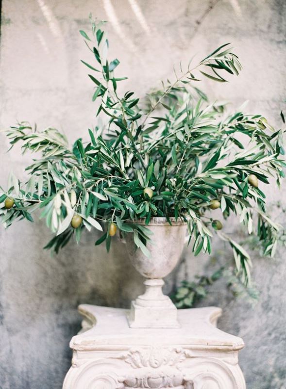 A wedding centerpiece or decoration of a large stone urn and olive branches with olives is pure elegance