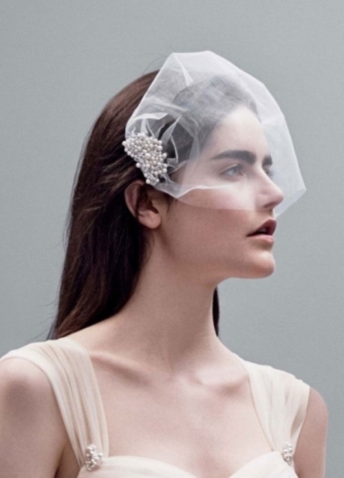 a birdcage veil with large pearl hair clips is a fresh take on a traditional birdcage veil