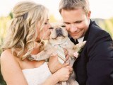 32 Cutest Ways To Get Your Furry Friends Wedding Ready