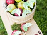 a wooden basket with moss, gilled with apples with leaves instead of cards is a great idea for wedding escort cards