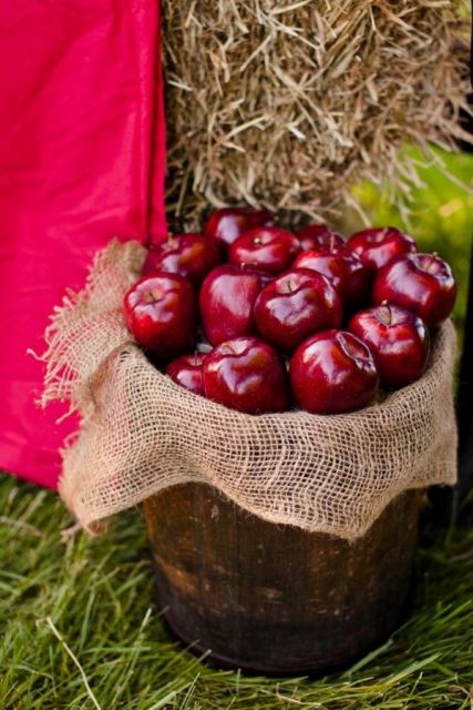 a bucker covered with burlap and with red apples is a lovely way to serve them or to offer them as wedding favors