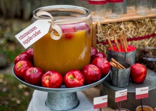 a metal stand with a tank with apple cider and red apples is a lovely idea for a rustic fall wedding