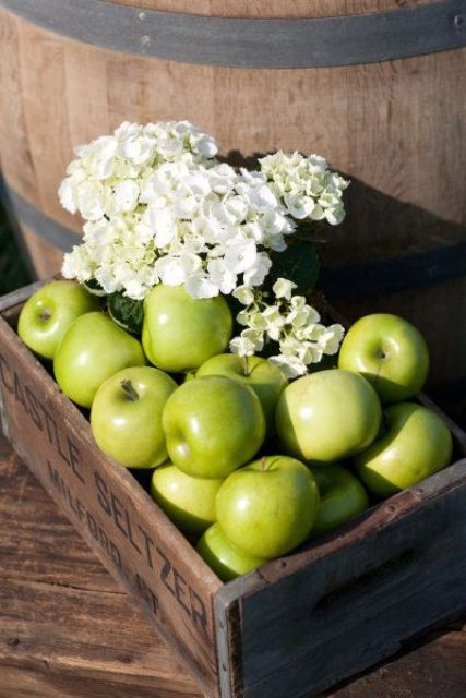a crate with green apples and white hydrangeas is a lovely wedding decoration or you may offer these apples as desserts