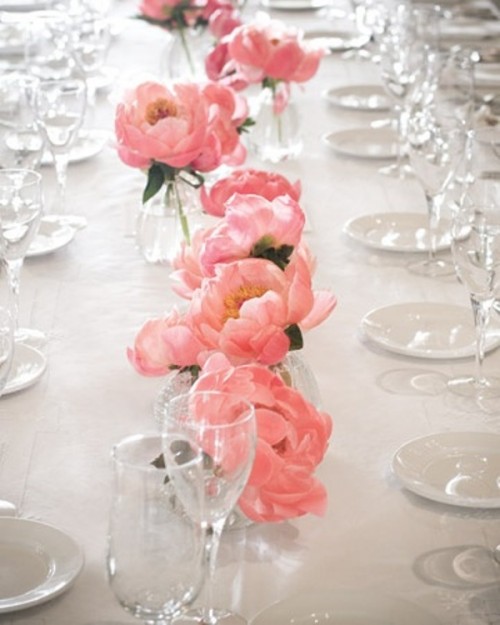 coral blooms lining up the table are a nice table runner or centerpiece in bold colors, it's simple and natural