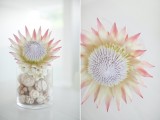 a clear vase with seashells and a large king protea feels both beach-like and tropical