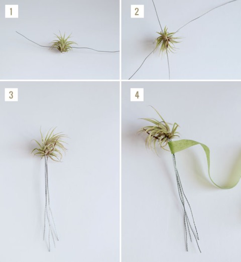 Original DIY Airplant Boutonniere For Grooms And Groomsmen
