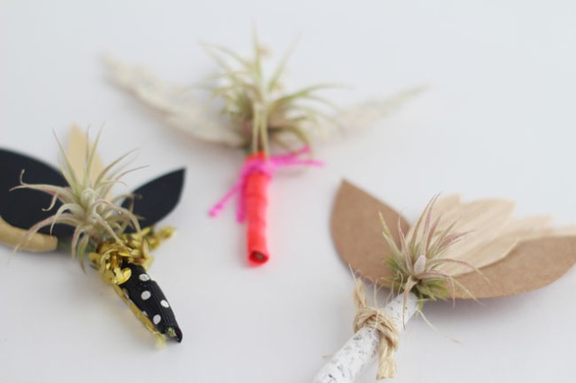 Picture Of Gentle DIY Airplant Boutonniere 7