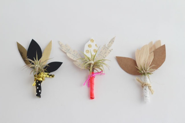 Picture Of Gentle DIY Airplant Boutonniere 9