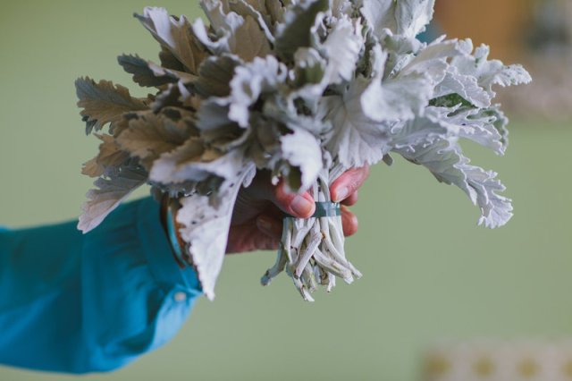 Simple And Original DIY Dusty Miller Wedding Bouquet 3