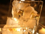 square vases with floating white orchids and vases with floating candles is a pretty and refined wedding centerpiece