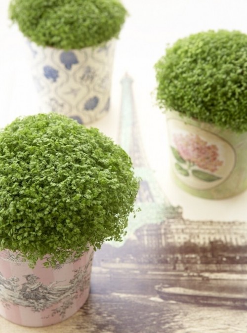 round boxes with fresh greenery are a fresh and natural idea for a spring or summer wedding