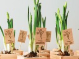 mini bulbs planted into wooden boxes and with wooden marks are cool for spring weddings