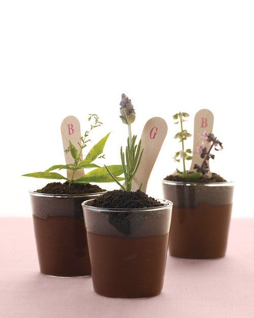 mini pots with spring herbs and markers are amazing for spring farmhouse weddings