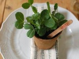 fresh herbs planted in a pot and marked will bring life to the table and feed the guests after the wedding
