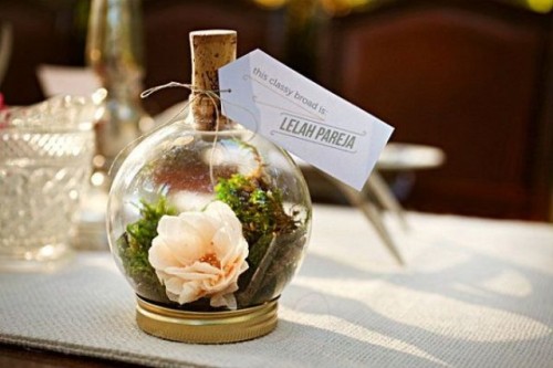 a mini terrarium with moss and blooms and some tags on it is a fresh, elegant and trendy idea