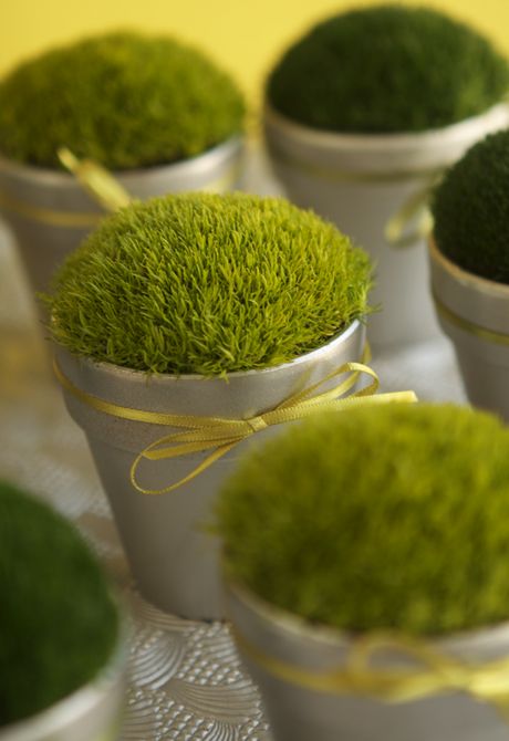 moss in pots with bows is a cool idea to refresh your wedding decor and remind that spring is on