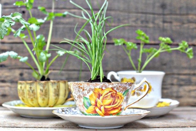 fresh herbs in elegant and stylish teacups are a timeless idea to go for