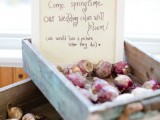 offer your guests bulbs to plant them after the wedding and enjoy the blooms