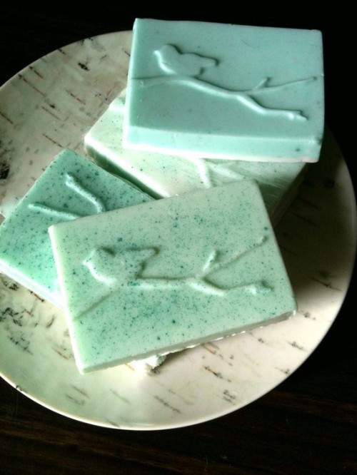herb soap with little birds on the branches is a very cute idea that cna be realized by you yourself