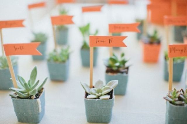 Mini succulents in blue pots with bright markers are a cute sprign wedding favor idea that is fresh