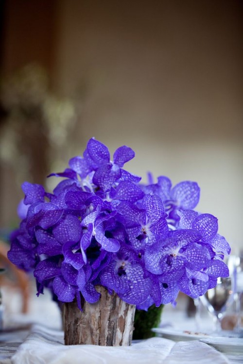 a bold wedding centerpiece of a piece of wood and bright purple blooms on it for a bold touch on your table