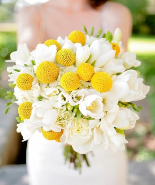 a chic spring wedding bouquet of white tulips and craspedia is a cool and bright idea for spring