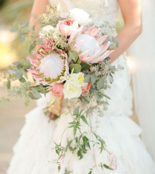 a romantic cascading wedding bouquet with king proteas, greenery and white blooms for a statement