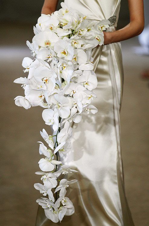 a cascading white orchid wedding bouquet is a refined and chic idea for a spring or summer bride