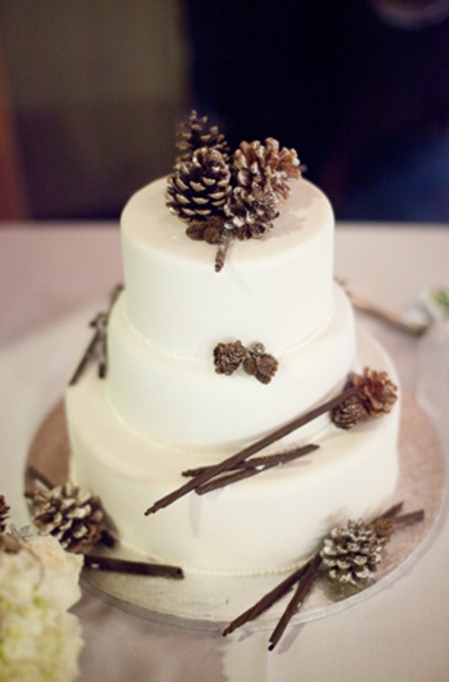 a white wedding cake with burlap ribbon, with snowy pinecones and some cinnamon bark is a lovely and tasty idea