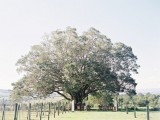 Australian Boho Wedidng Under A Big Fig Tree