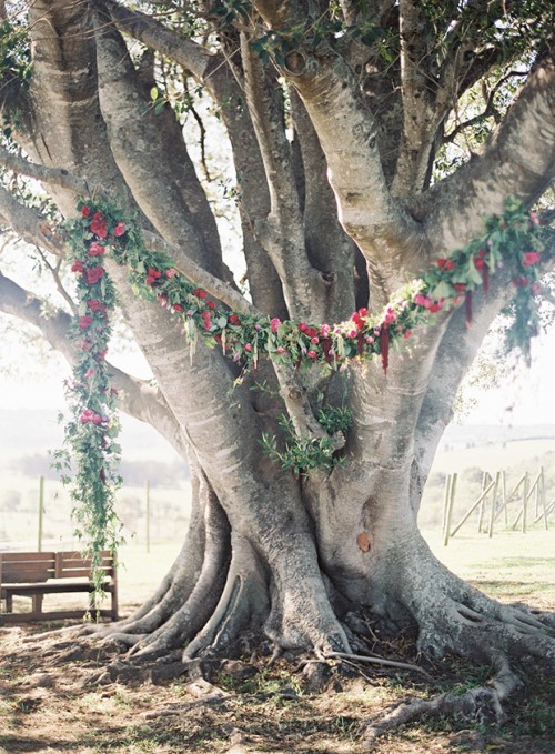 Australian Boho Wedidng Under A Big Fig Tree