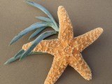 starfish and sea grass boutonniere