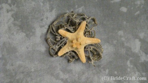 starfish and netting boutonniere (via bridecraft)