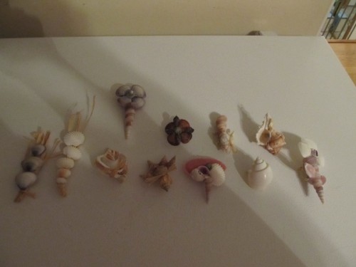seashell boutonnieres (via thebudgetsavvybride)