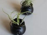 mini black caulrons with air plants look cute and scary and will be creative and cool wedding favors at Halloween