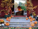 decorate your outdoor reception space with cutout pumpkins with candles, potted fall trees and candles