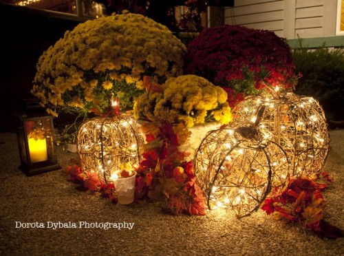 vine pumpkins with lights, fall leaves and bright fall flowers in pots are great for a fall wedding