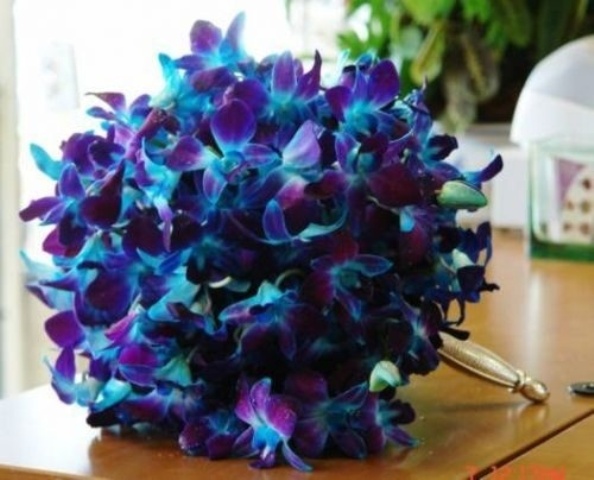 A purple orchid wedding bouquet with peacock feathers is a bright idea with a colorful statement