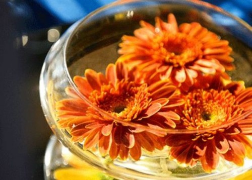 a glass bowl with bright floating blooms is a simple and chic fall wedding centerpiece