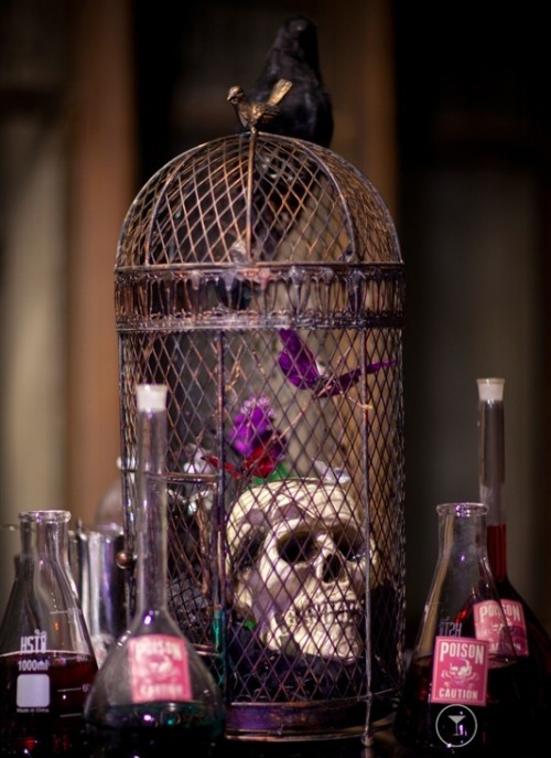 a purple cage with purple butterflies and a skull topped with a blackbird is a gorgeous solution for a Halloween wedding