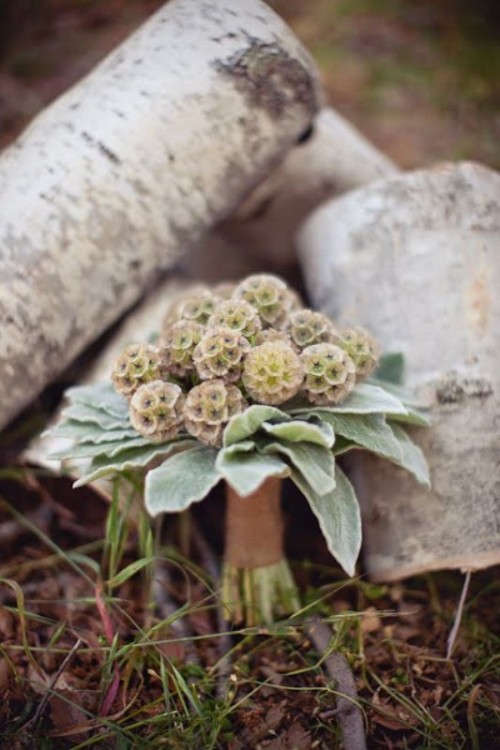 a unique wedding bouquet of neutral blooms and pale greenery looks bold and cool