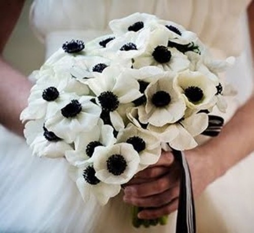 a white anemone wedding bouquet with black and white ribbons is a cool idea for a monochromatic wedding