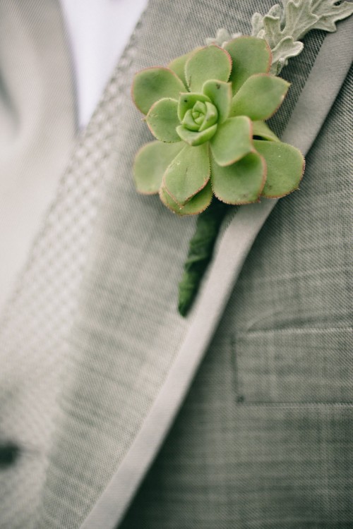 a succulent and pale greenery wedding boutonniere is a chic and creative accessory