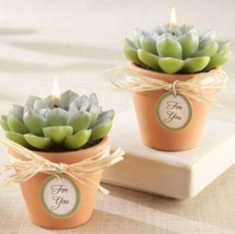 pots with succulent candles are creative and a bit unexpected wedding favors