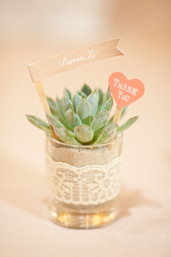 A cute potted succulent with tags wrapped in lace is a cool and simple wedding favor